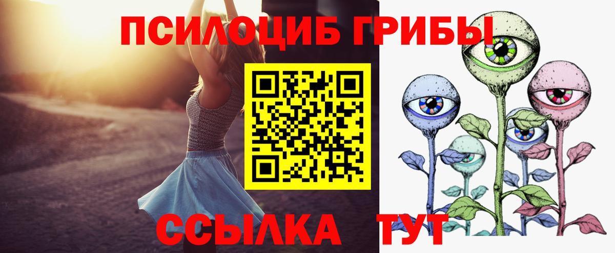 Фурманов  Псилоцибиновые грибы мицелий  Вход с VPN 
